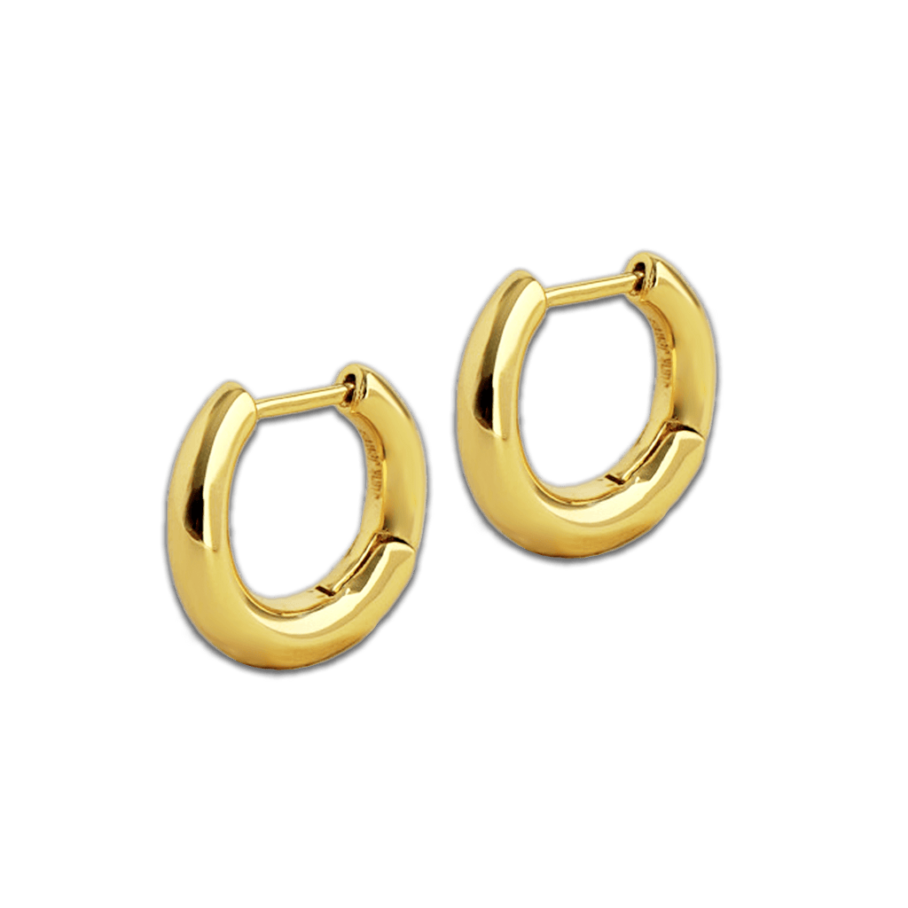 Wobbly Classic Small Hoop Earrings - Cara & The Sky