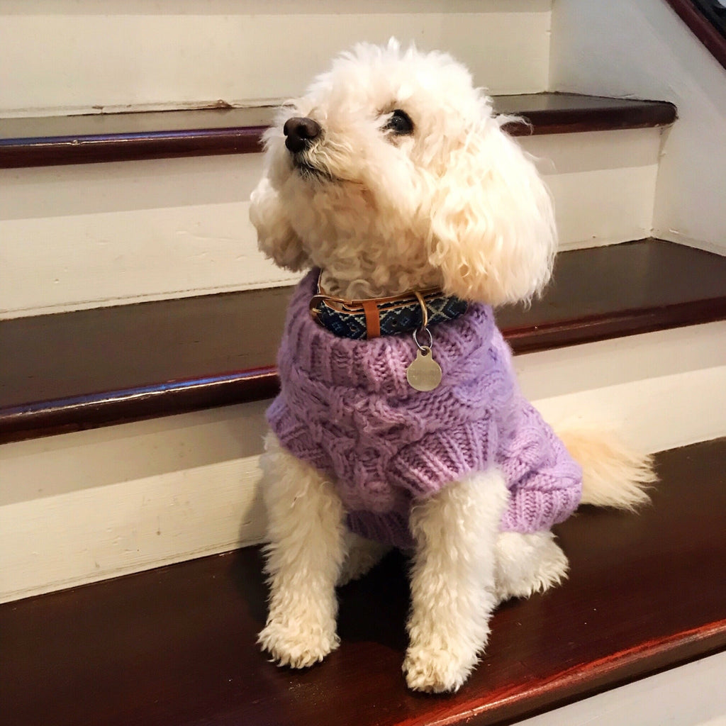 Bella & Bella Paws Human & Dog Jumper Set - Lilac - Cara & The Sky